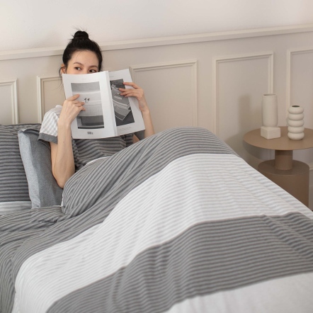 晨光條紋 四季被-岩石灰