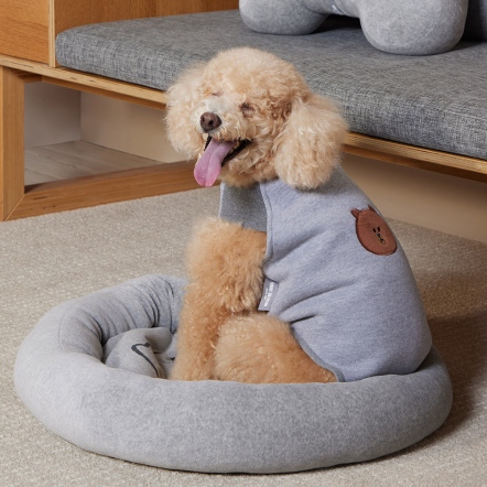 LINE FRIENDS | 熊大寵物衣