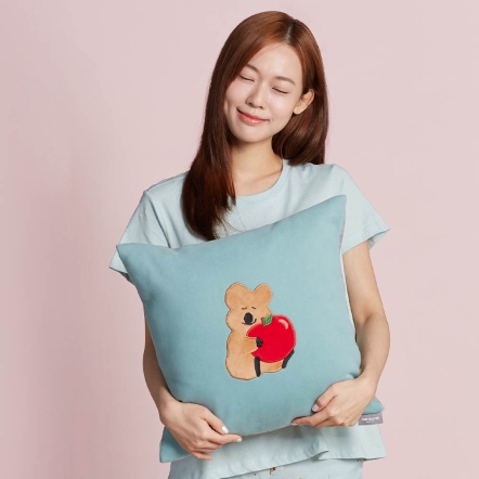 DINOTAENG | 蘋果方形抱枕（45x45公分）-湖水綠