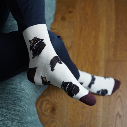 BARE KIND｜英國竹纖維襪-台灣黑熊