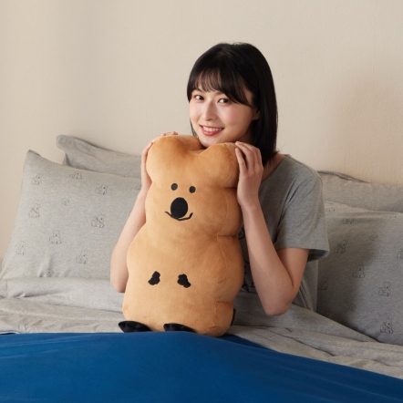 DINOTAENG｜QUOKKA 立體靠枕